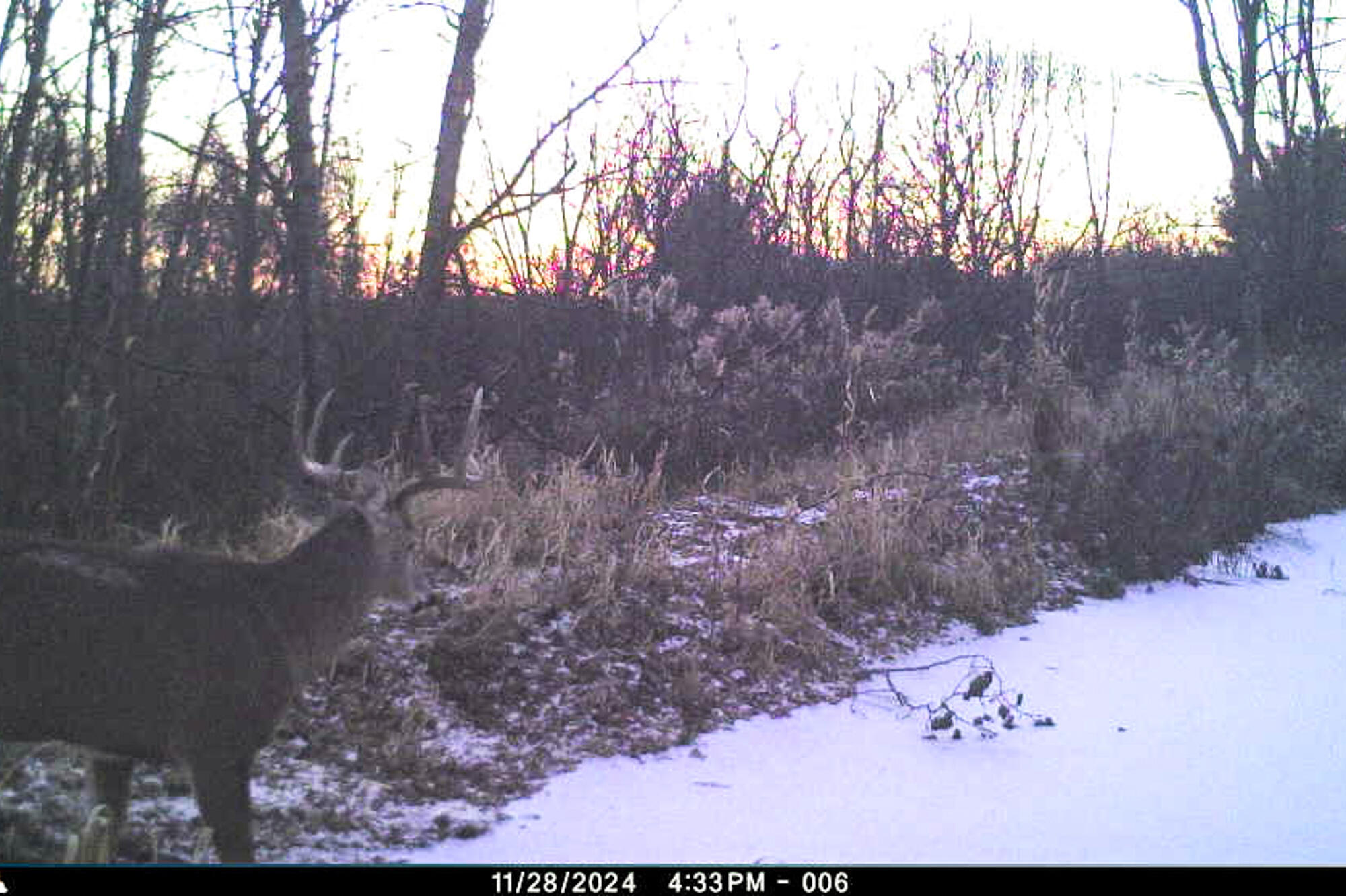 19249 Highway 56 Marshall, WI 53581 - Photo 62 of 84 Richland-County-WI-73-Acres-Land-For-Sal