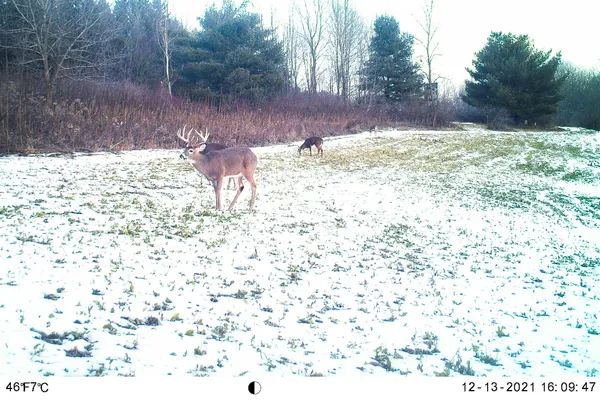 $949,000 | 19249 Highway 56, Marshall, WI 53581