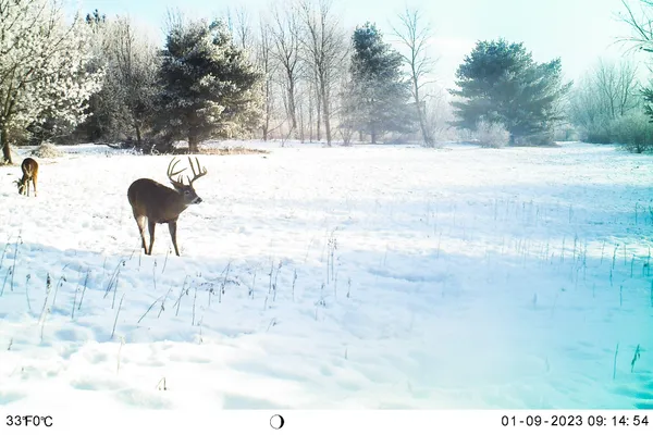 $949,000 | 19249 Highway 56, Marshall, WI 53581