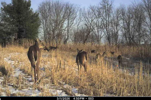 $949,000 | 19249 Highway 56, Marshall, WI 53581