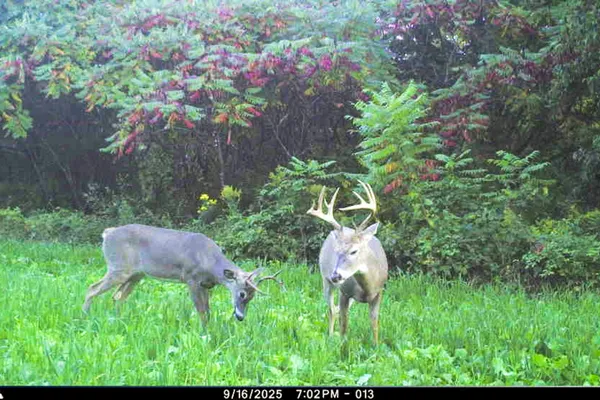 $949,000 | 19249 Highway 56, Marshall, WI 53581