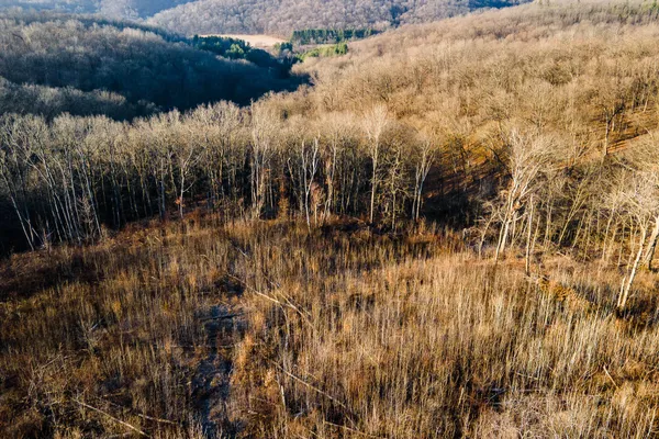 $949,000 | 19249 Highway 56, Marshall, WI 53581