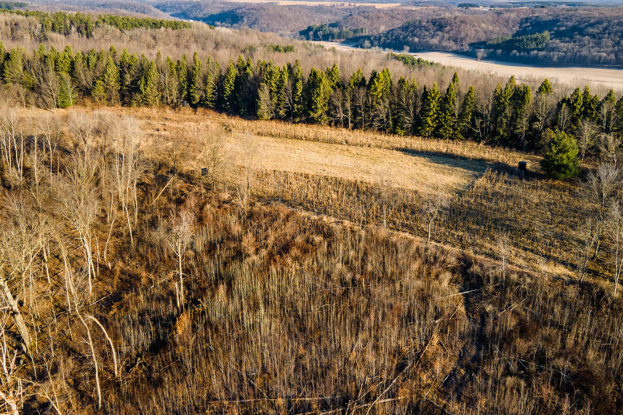 19249 Highway 56 Marshall, WI 53581 - Photo 73 of 84 Richland-County-WI-73-Acres-Land-For-Sal