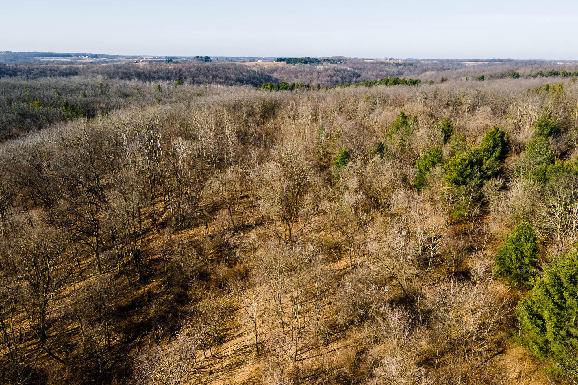 19249 Highway 56 Marshall, WI 53581 - Photo 74 of 84 Richland-County-WI-73-Acres-Land-For-Sal