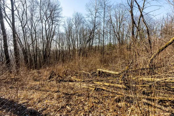 $949,000 | 19249 Highway 56, Marshall, WI 53581