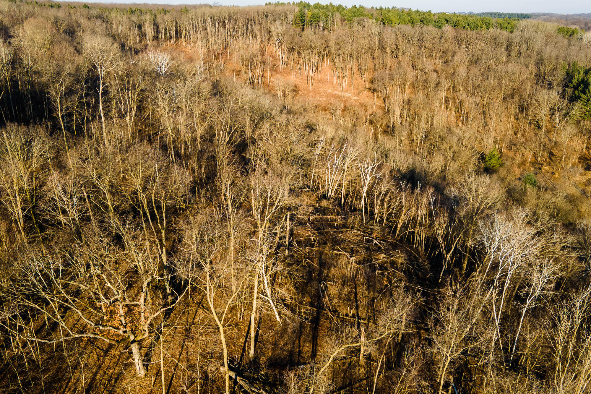 19249 Highway 56 Marshall, WI 53581 - Photo 77 of 84 Richland-County-WI-73-Acres-Land-For-Sal