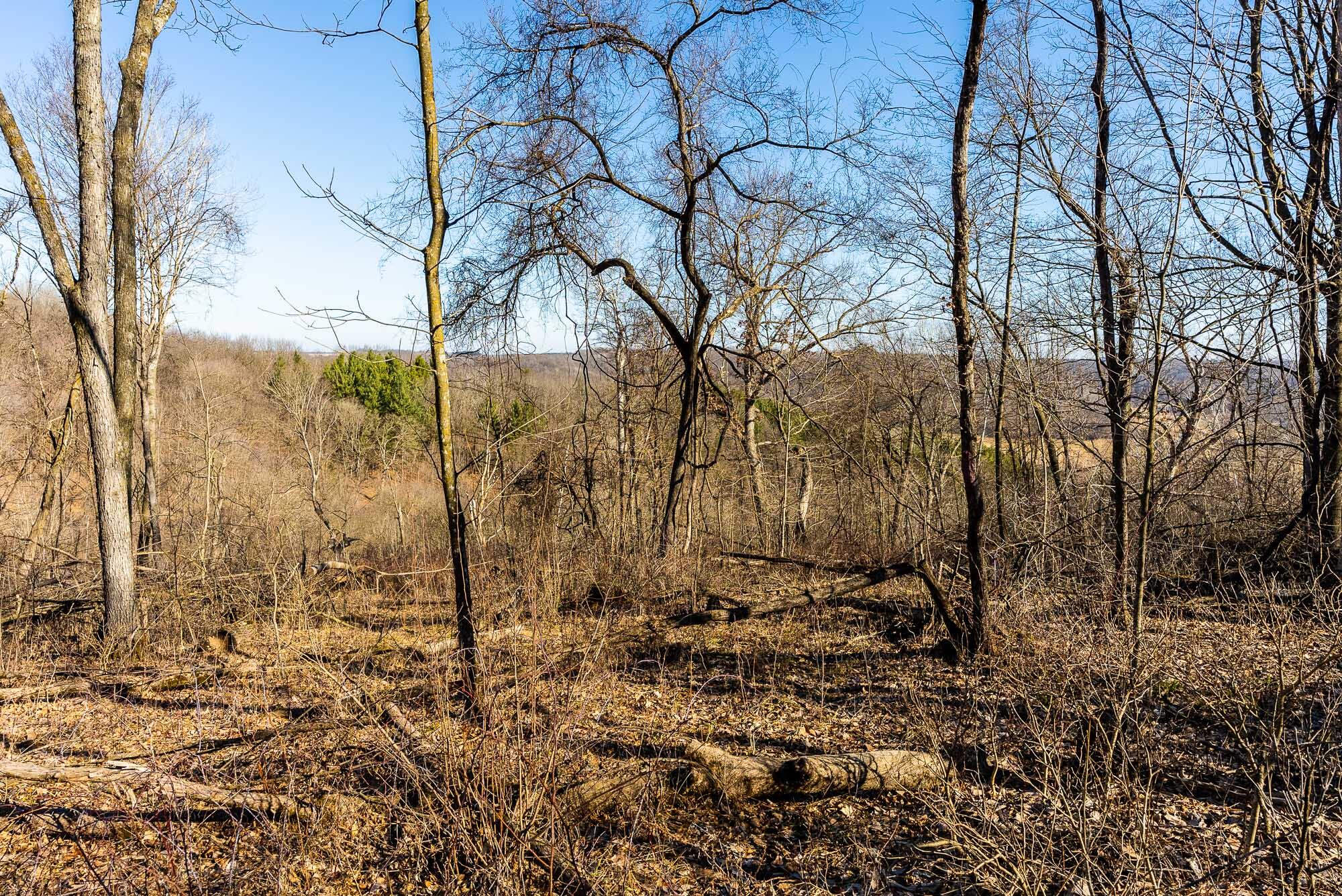 19249 Highway 56 Marshall, WI 53581 - Photo 78 of 84 Richland-County-WI-73-Acres-Land-For-Sal
