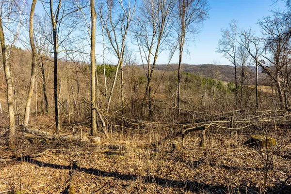 $949,000 | 19249 Highway 56, Marshall, WI 53581