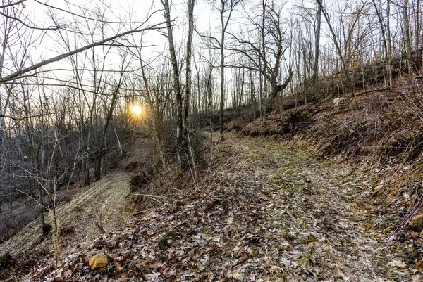 $949,000 | 19249 Highway 56, Marshall, WI 53581