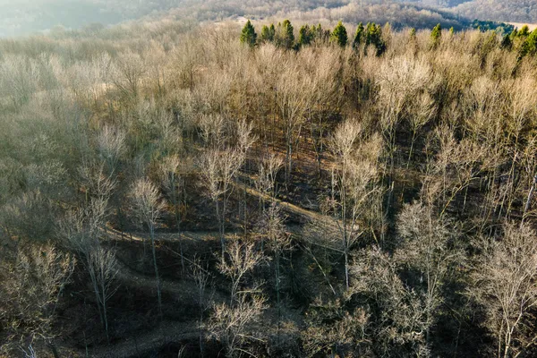 $949,000 | 19249 Highway 56, Marshall, WI 53581