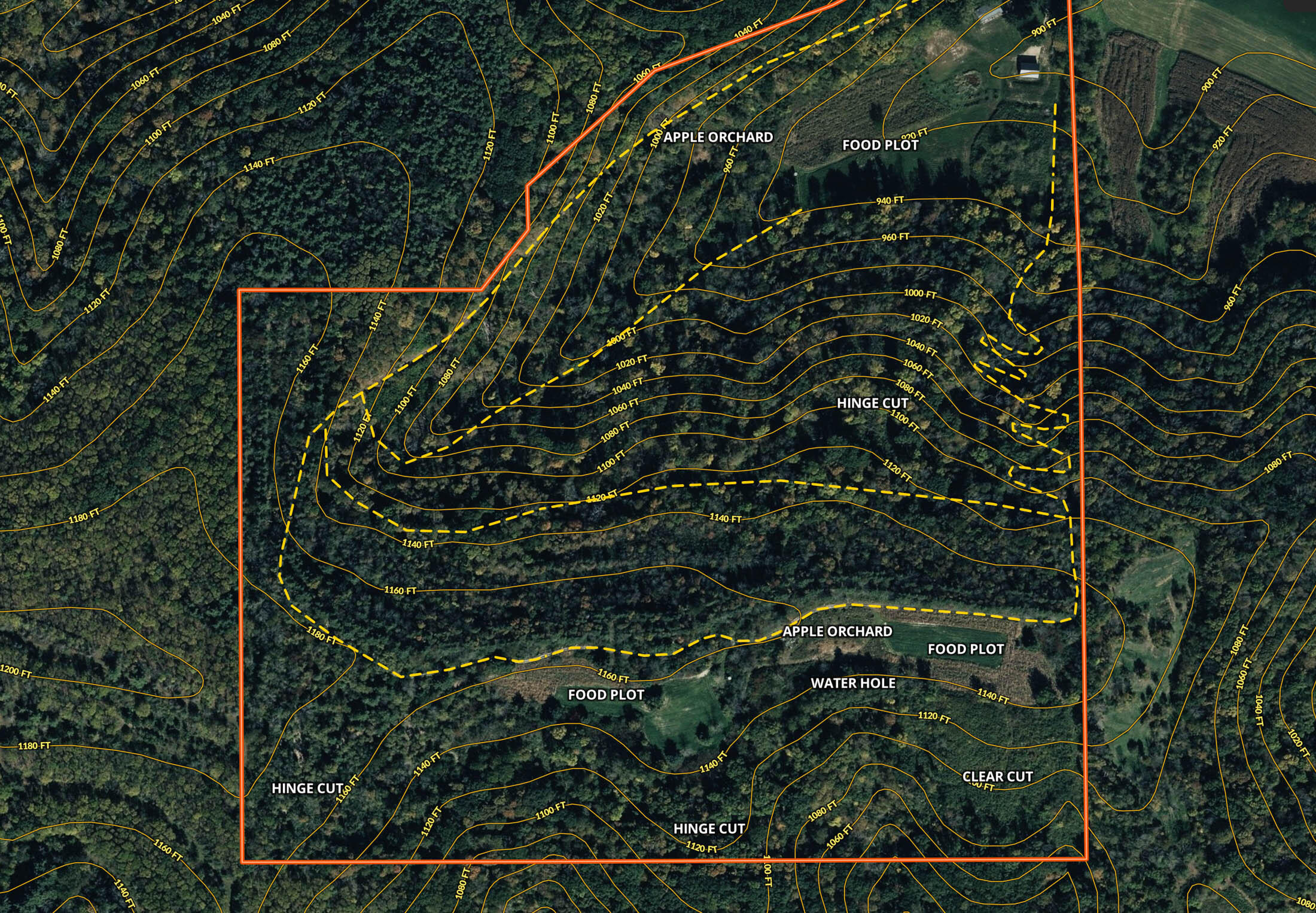 19249 Highway 56 Marshall, WI 53581 - Photo 82 of 84 Richland-County-WI-73-Acres-Land-For-Sal