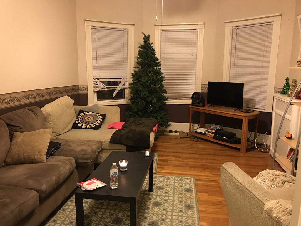 63 Bucknam Street Everett, MA 02149 - Photo 27 of 28 a living room with furniture and a flat screen tv