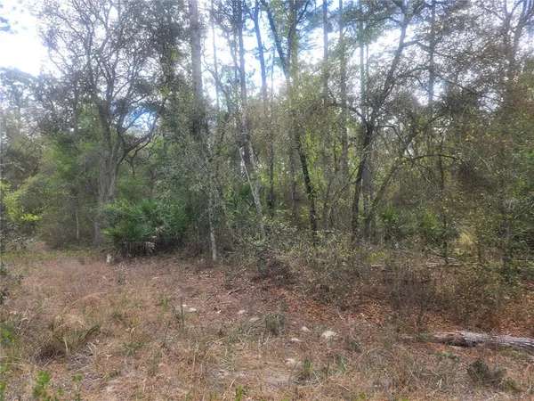 $74,900 | 7446 Southwest 151st Place, Dunnellon, FL 34432
