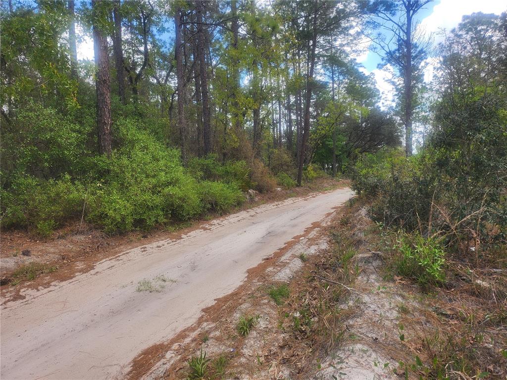 7446 Southwest 151st Place Dunnellon, FL 34432 - Photo 2 of 4 a view of a dirt road with trees in the background