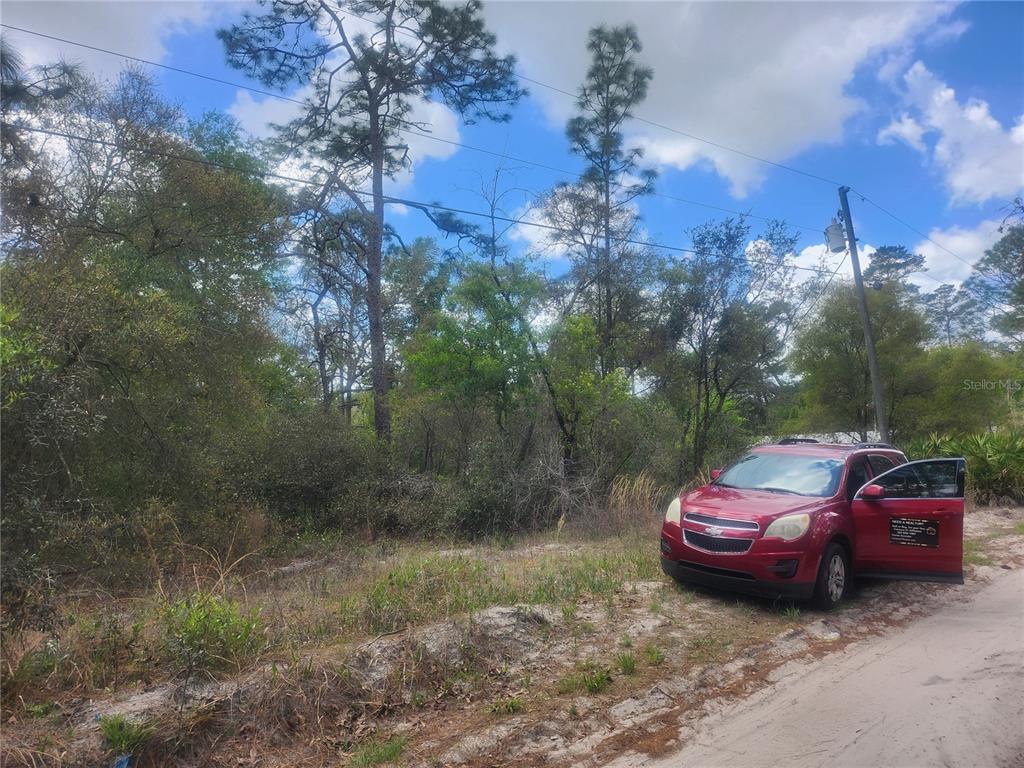 7446 Southwest 151st Place Dunnellon, FL 34432 - Photo 4 of 4 a view of a yard with a car parked