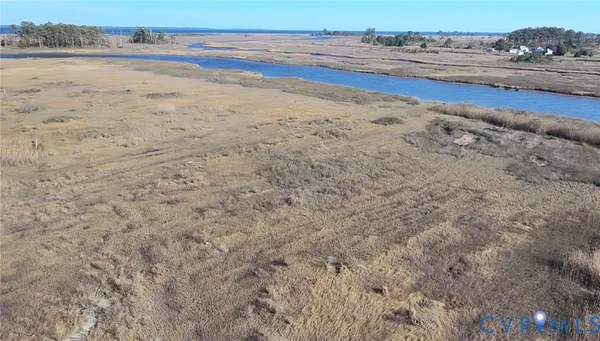 a view of a dry yard with wooden floor