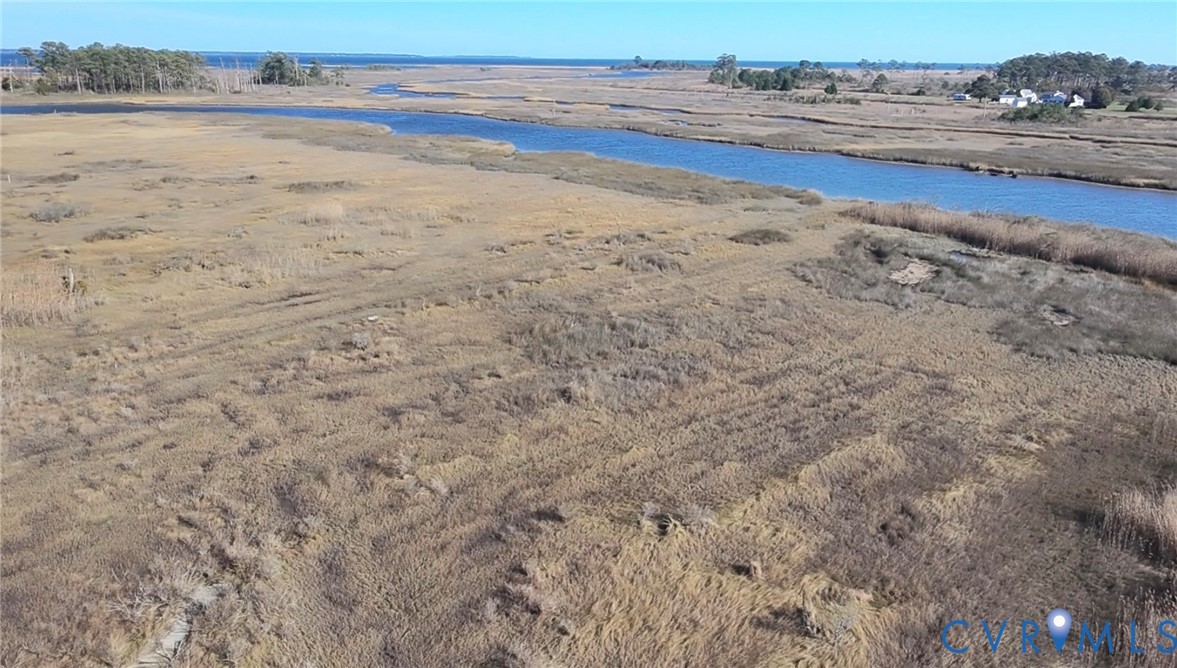 a view of a dry yard with wooden floor