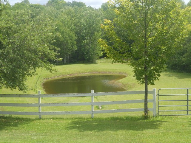 3735 Stillwagon Road West Branch, MI 48661 - Photo 13 of 26 1802226-12.JPG