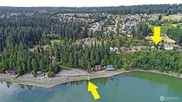 a view of a swimming pool with a patio and a garden