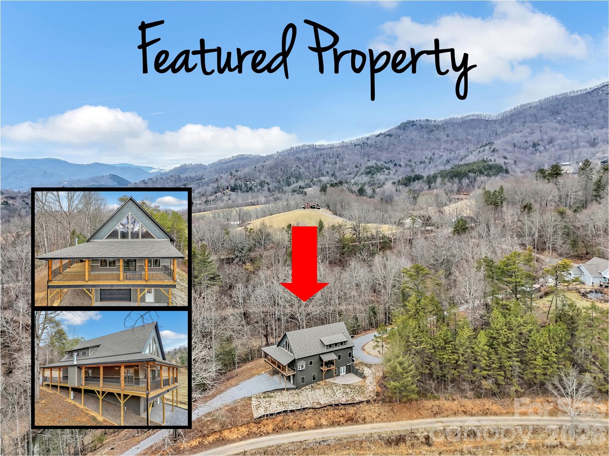 171 Cowtail Cove Clyde, NC 28721 - Photo 2 of 48