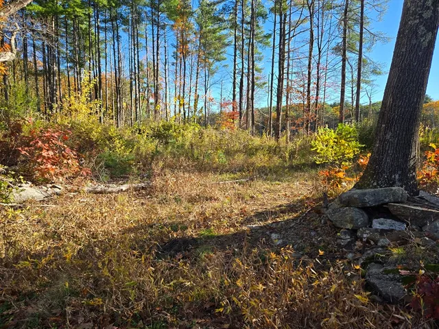 a view of outdoor space with garden