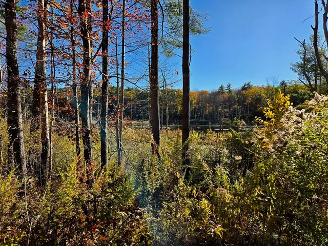 a view of a lake view