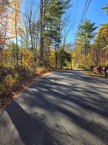 a view of street along with trees
