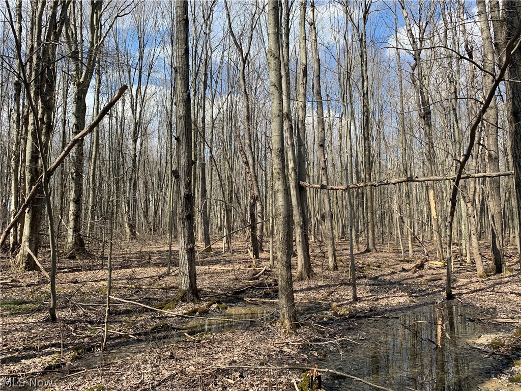 Anderson Road Pierpont, OH 44082 - Photo 26 of 27 Gallery Image 26