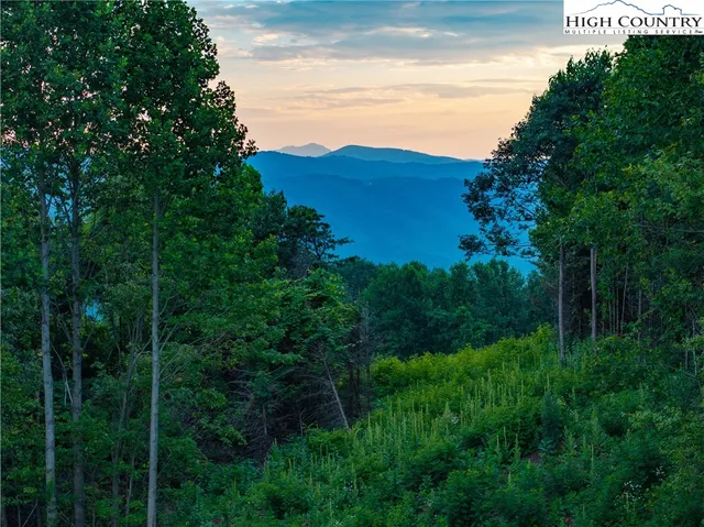 a view of a lush green mountain