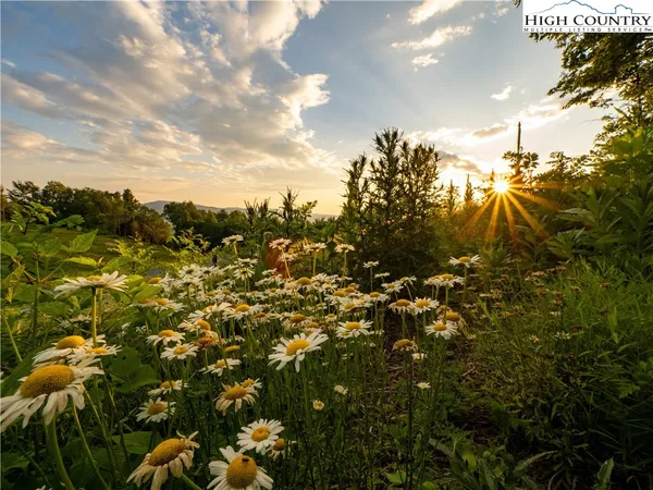 $285,000 | Lot-142 Lot-142 Angelfire Trail, Deep Gap, NC 28618