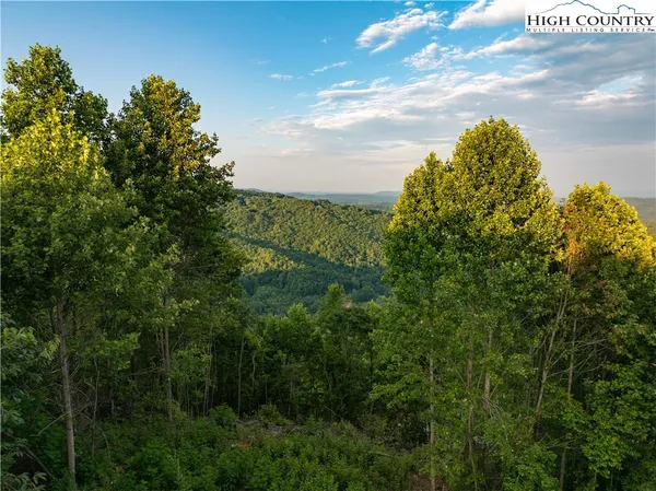 a view of a bunch of trees