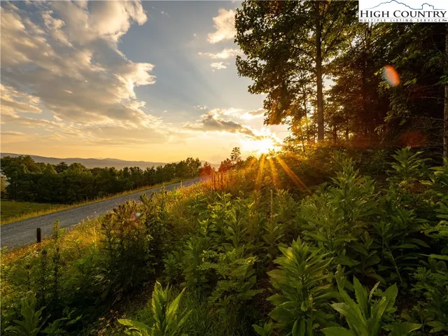a view of an ocean from a yard