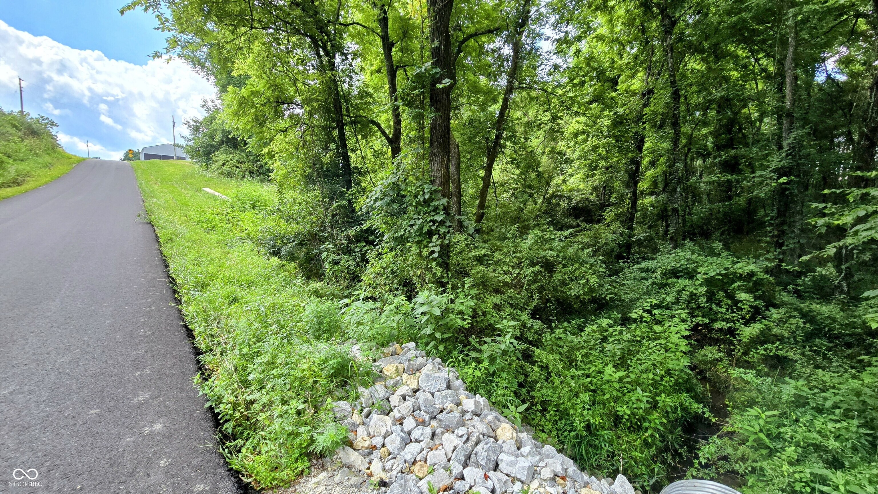 14071 Goodner Road Dillsboro, IN 47018 - Photo 29 of 64