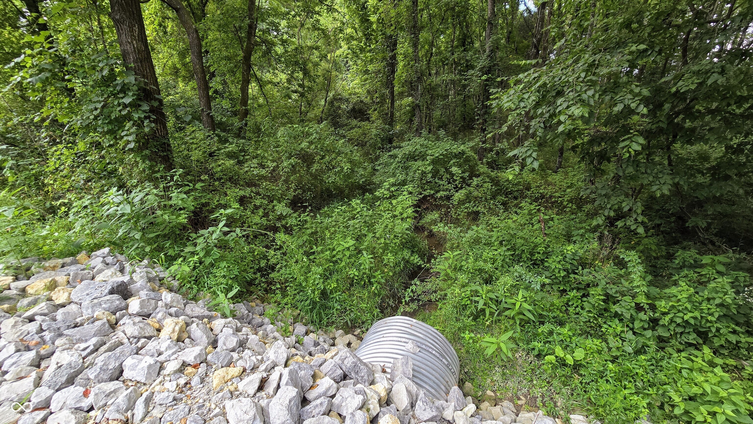 14071 Goodner Road Dillsboro, IN 47018 - Photo 30 of 64