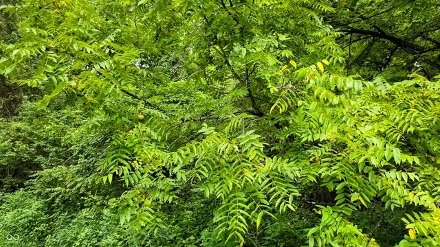 $164,900 | 14071 Goodner Road, Dillsboro, IN 47018