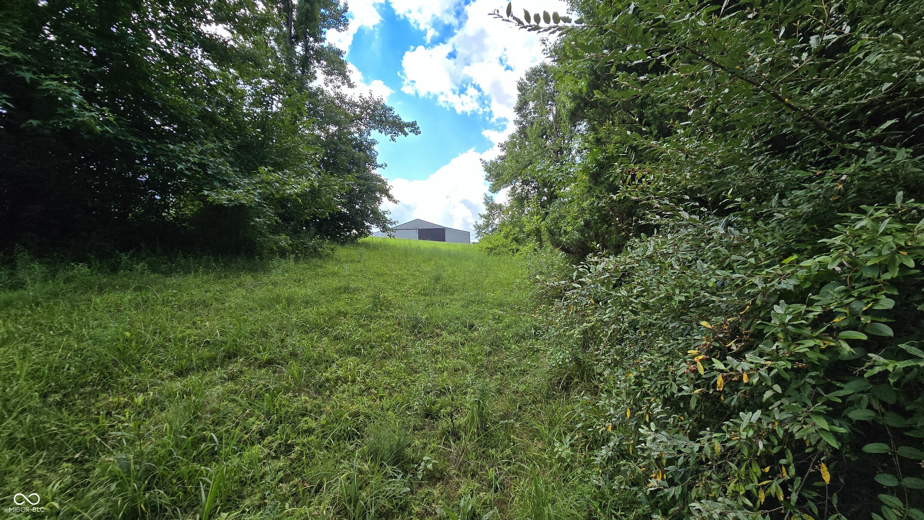 14071 Goodner Road Dillsboro, IN 47018 - Photo 33 of 64