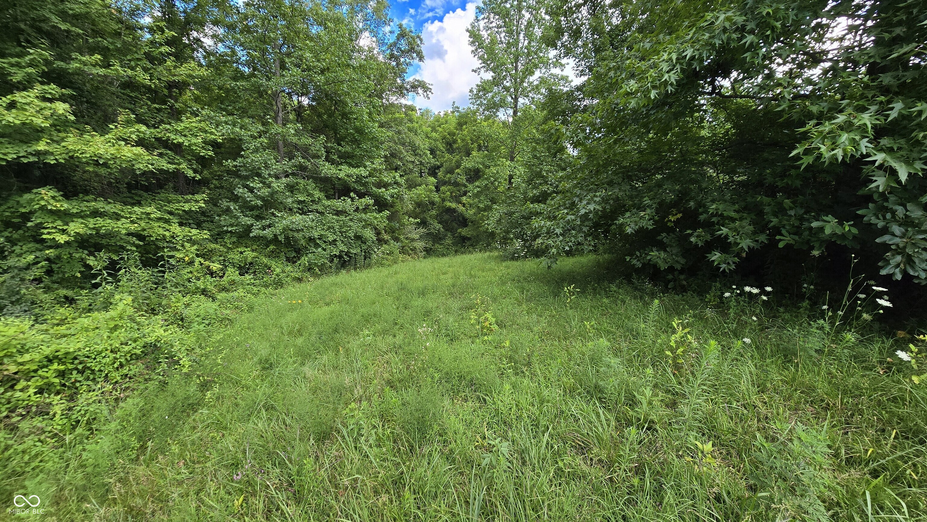 14071 Goodner Road Dillsboro, IN 47018 - Photo 34 of 64