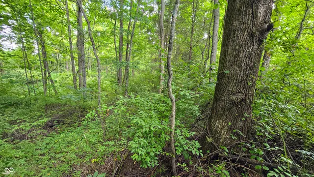 $164,900 | 14071 Goodner Road, Dillsboro, IN 47018