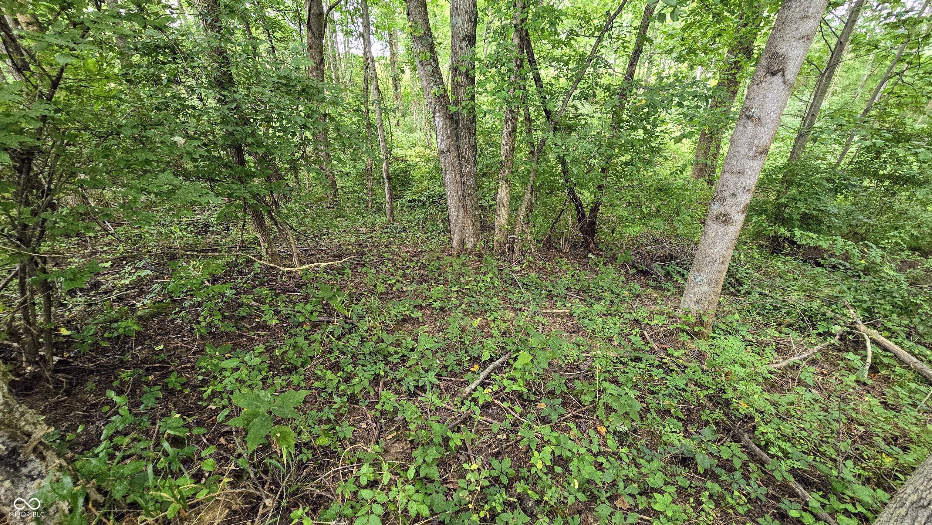 14071 Goodner Road Dillsboro, IN 47018 - Photo 38 of 64