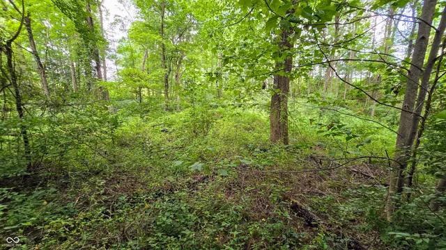 $164,900 | 14071 Goodner Road, Dillsboro, IN 47018