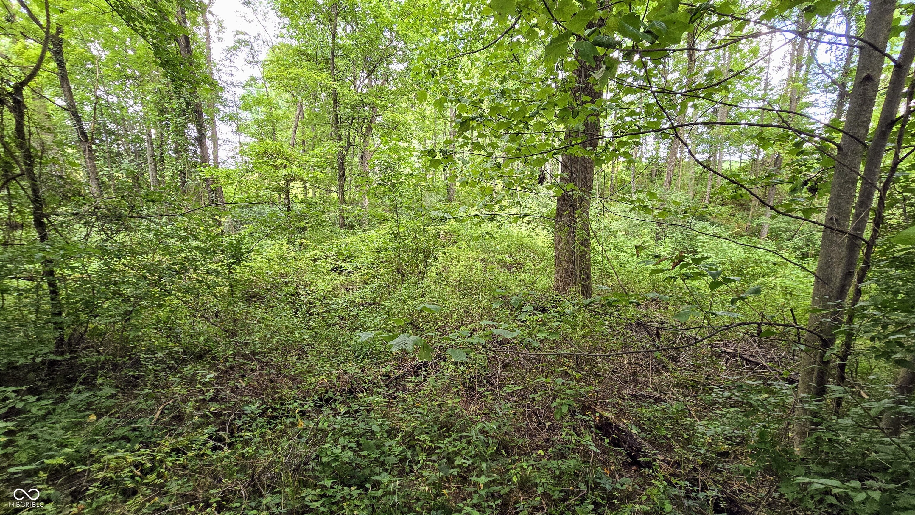 14071 Goodner Road Dillsboro, IN 47018 - Photo 39 of 64