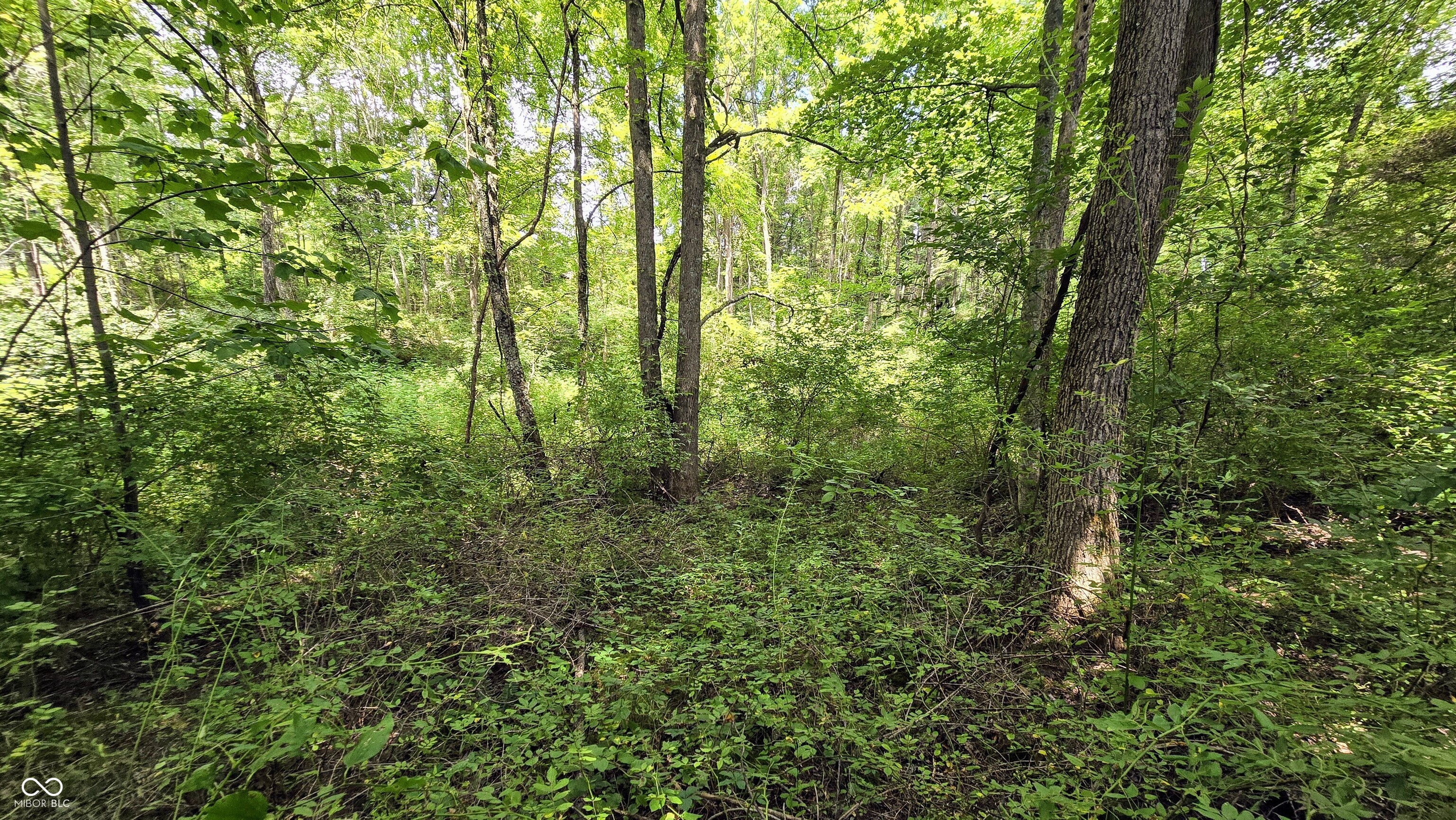 14071 Goodner Road Dillsboro, IN 47018 - Photo 40 of 64