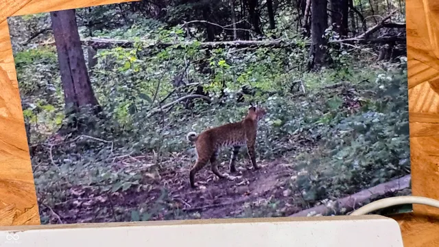 $164,900 | 14071 Goodner Road, Dillsboro, IN 47018