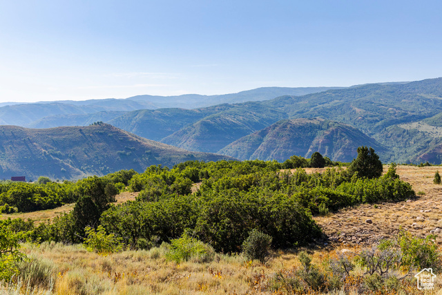 3344 North Oak Cyn Road, Unit 553 Huntsville, UT 84317 - Photo 1 of 16