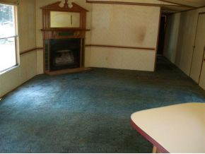 320 Roaring Creek Road Chuckey, TN 37641 - Photo 4 of 6 LIVING ROOM
