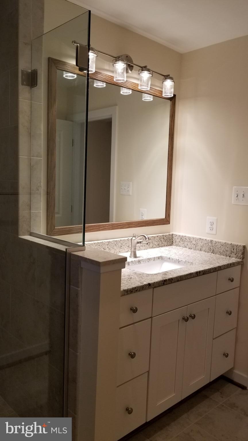 7821 Rocky Springs Road Frederick, MD 21702 - Photo 14 of 30 Master bath luxury vanity & lighting