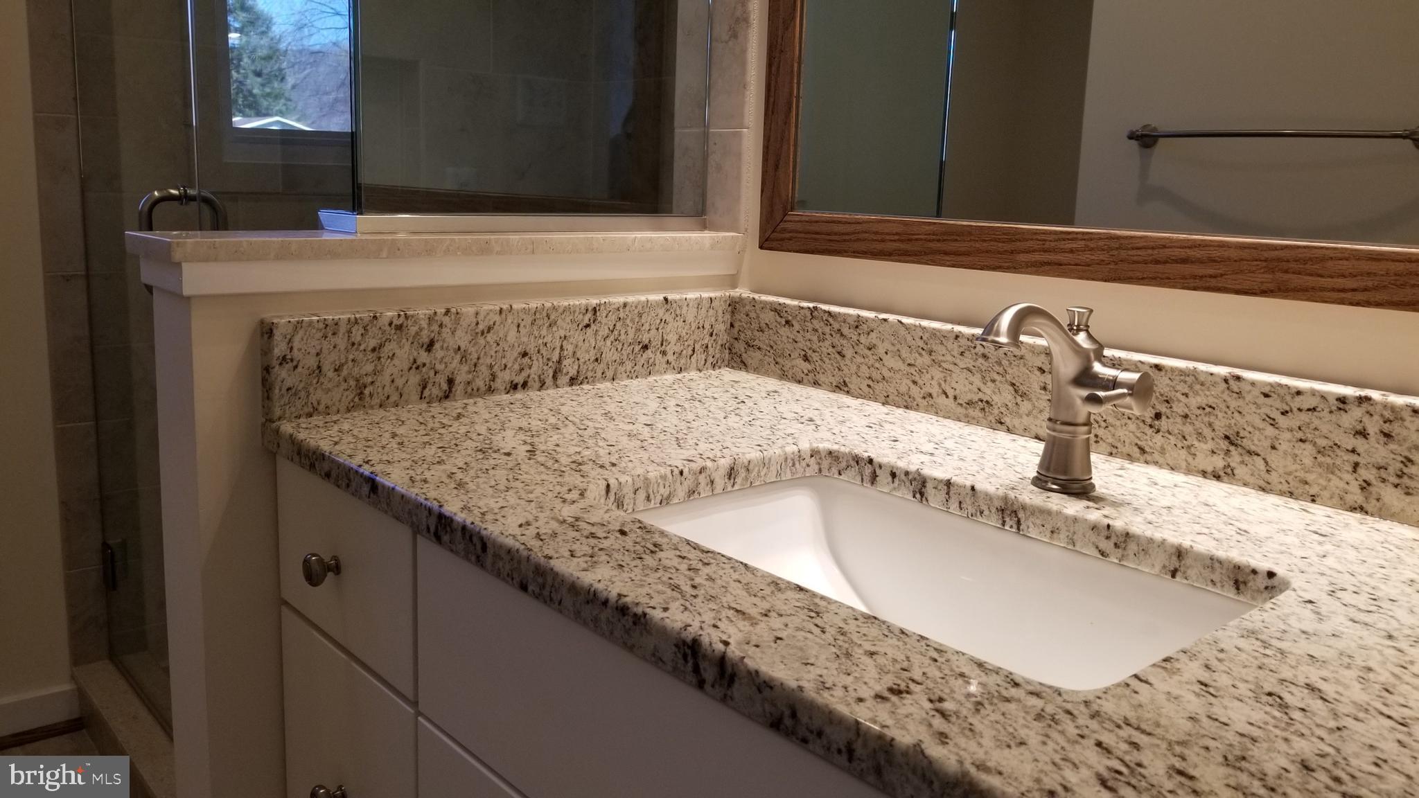 7821 Rocky Springs Road Frederick, MD 21702 - Photo 15 of 30 Master bath granite, shaker cabinet