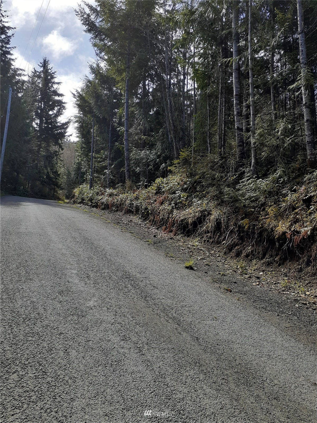 9999 South Old Mill Road Port Angeles, WA 98362 - Photo 14 of 26 a view of a forest with trees