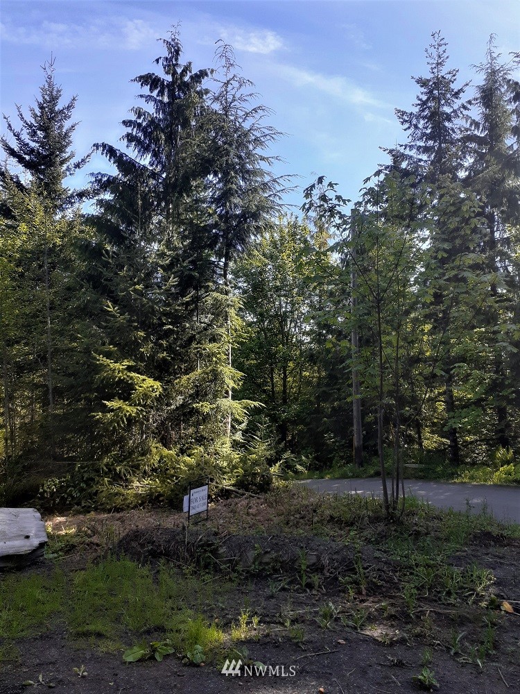 9999 South Old Mill Road Port Angeles, WA 98362 - Photo 17 of 26 a view of a yard with a tree
