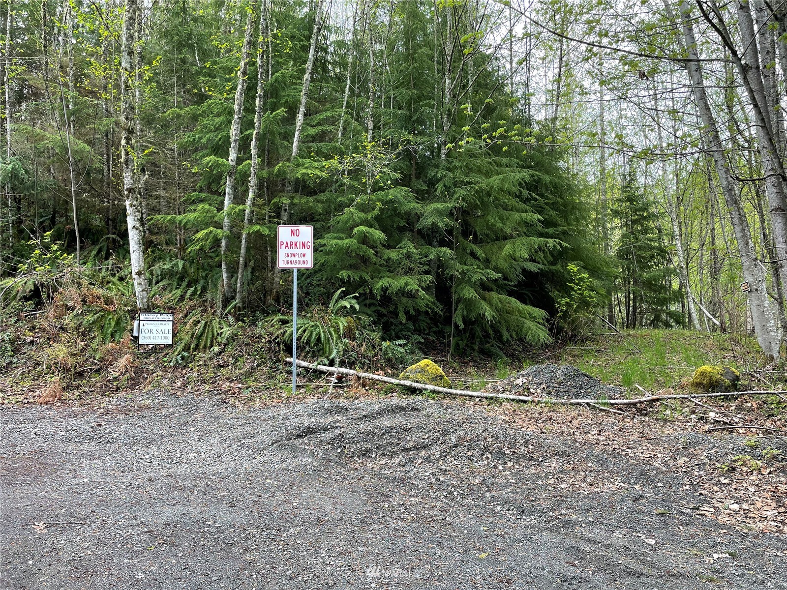 9999 South Old Mill Road Port Angeles, WA 98362 - Photo 2 of 26 a flag is sitting in the middle of forest